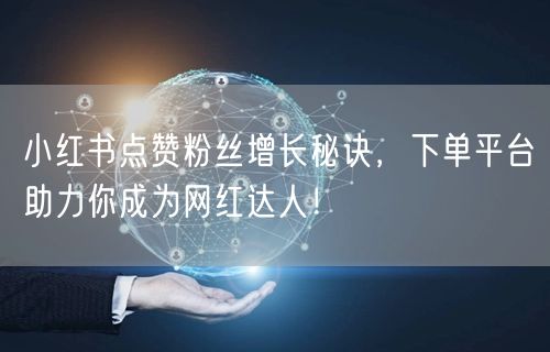 小红书点赞粉丝增长秘诀，下单平台助力你成为网红达人！
