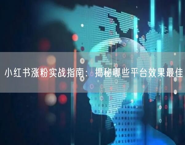 小红书涨粉实战指南：揭秘哪些平台效果最佳