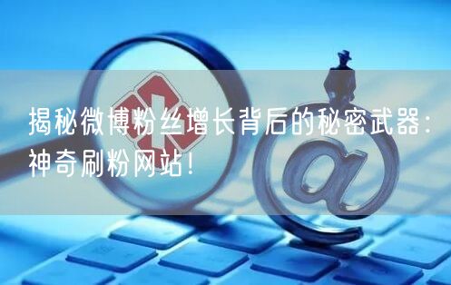揭秘微博粉丝增长背后的秘密武器：神奇刷粉网站！