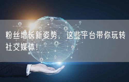 粉丝增长新姿势，这些平台带你玩转社交媒体！