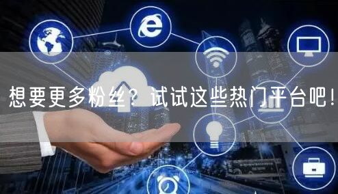 想要更多粉丝？试试这些热门平台吧！