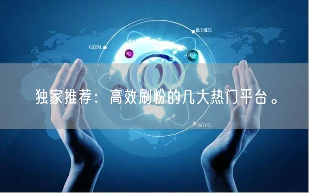独家推荐：高效刷粉的几大热门平台。