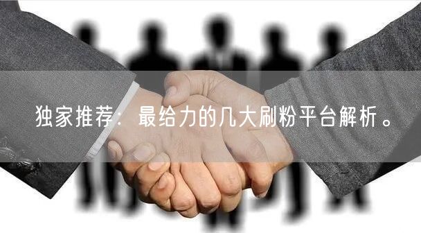 独家推荐：最给力的几大刷粉平台解析。