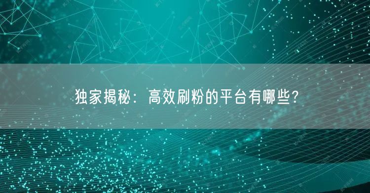独家揭秘：高效刷粉的平台有哪些？