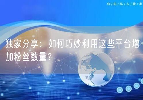独家分享：如何巧妙利用这些平台增加粉丝数量？