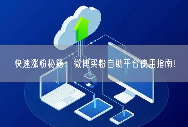 快速涨粉秘籍：微博买粉自助平台使用指南！