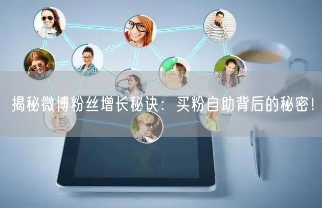 揭秘微博粉丝增长秘诀：买粉自助背后的秘密！